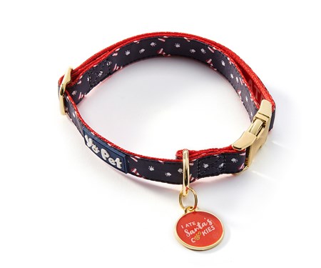 Pet collar with tag