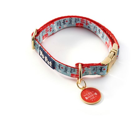 Pet collar with tag