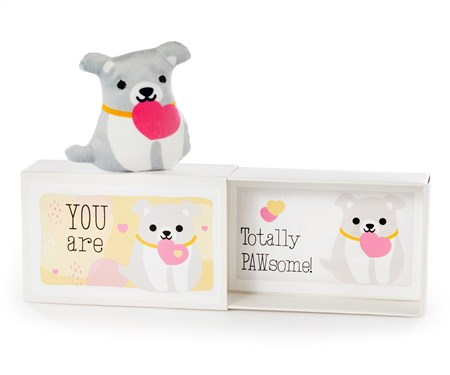 Dog Pocket Hug w/Gift Box