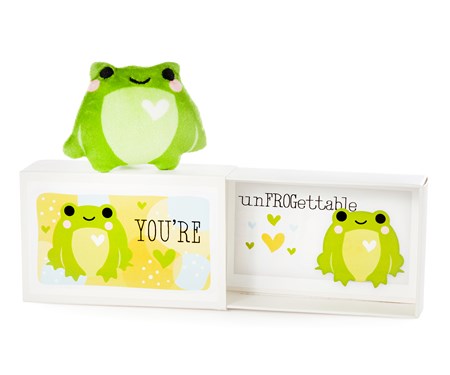 Frog Pocket Hug w/Gift Box