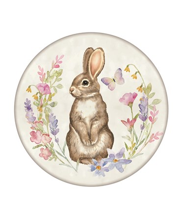 Rabbit Plate