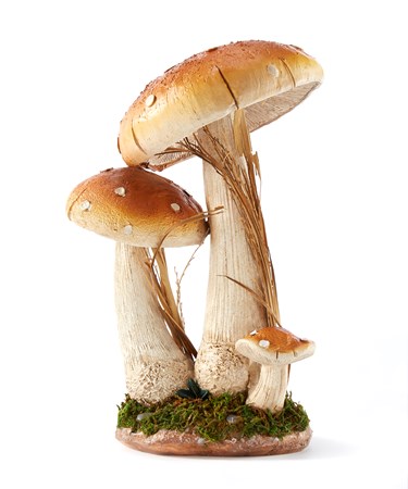 Forest Mushroom Decor
